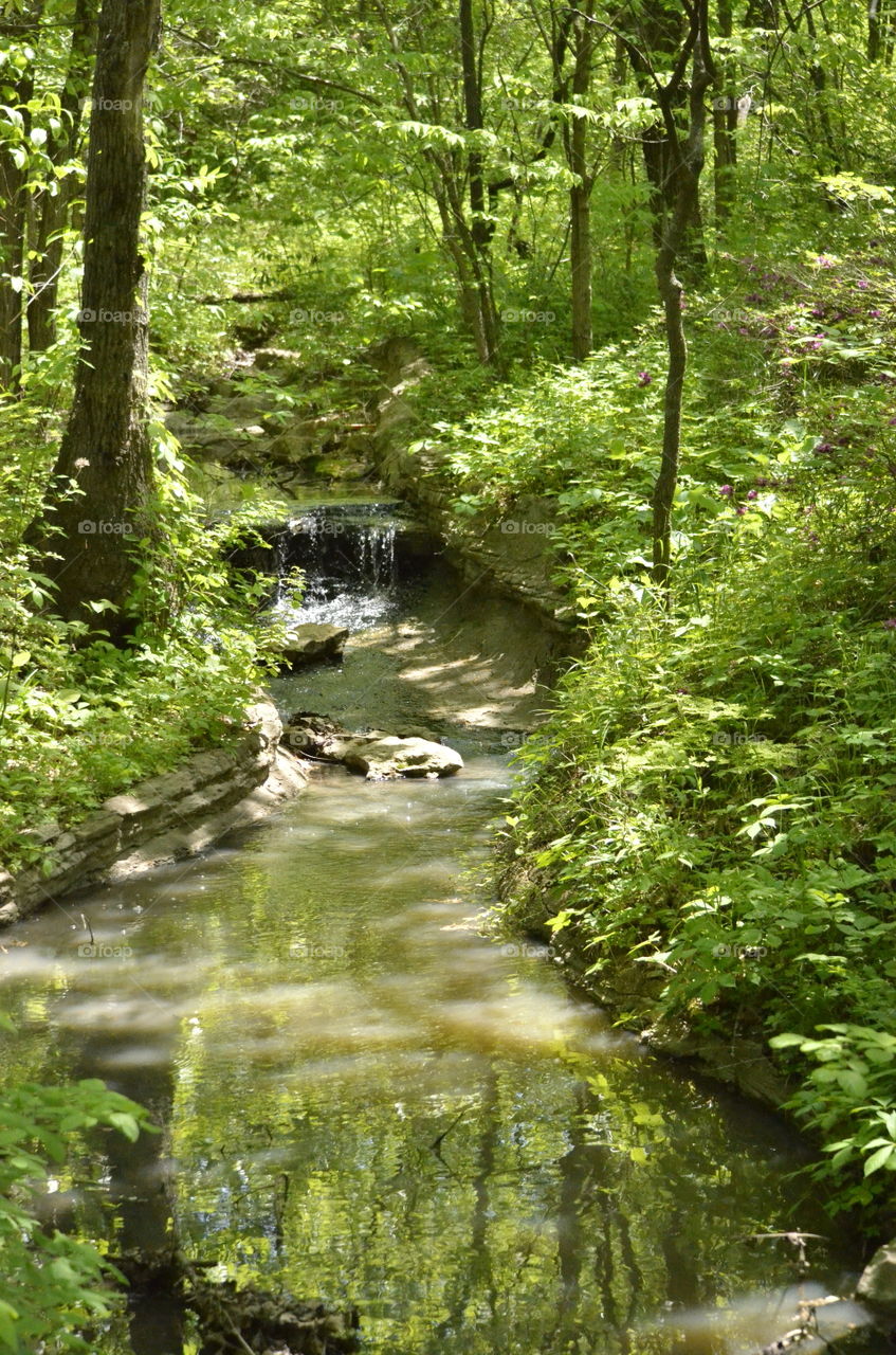 Beautiful Stream