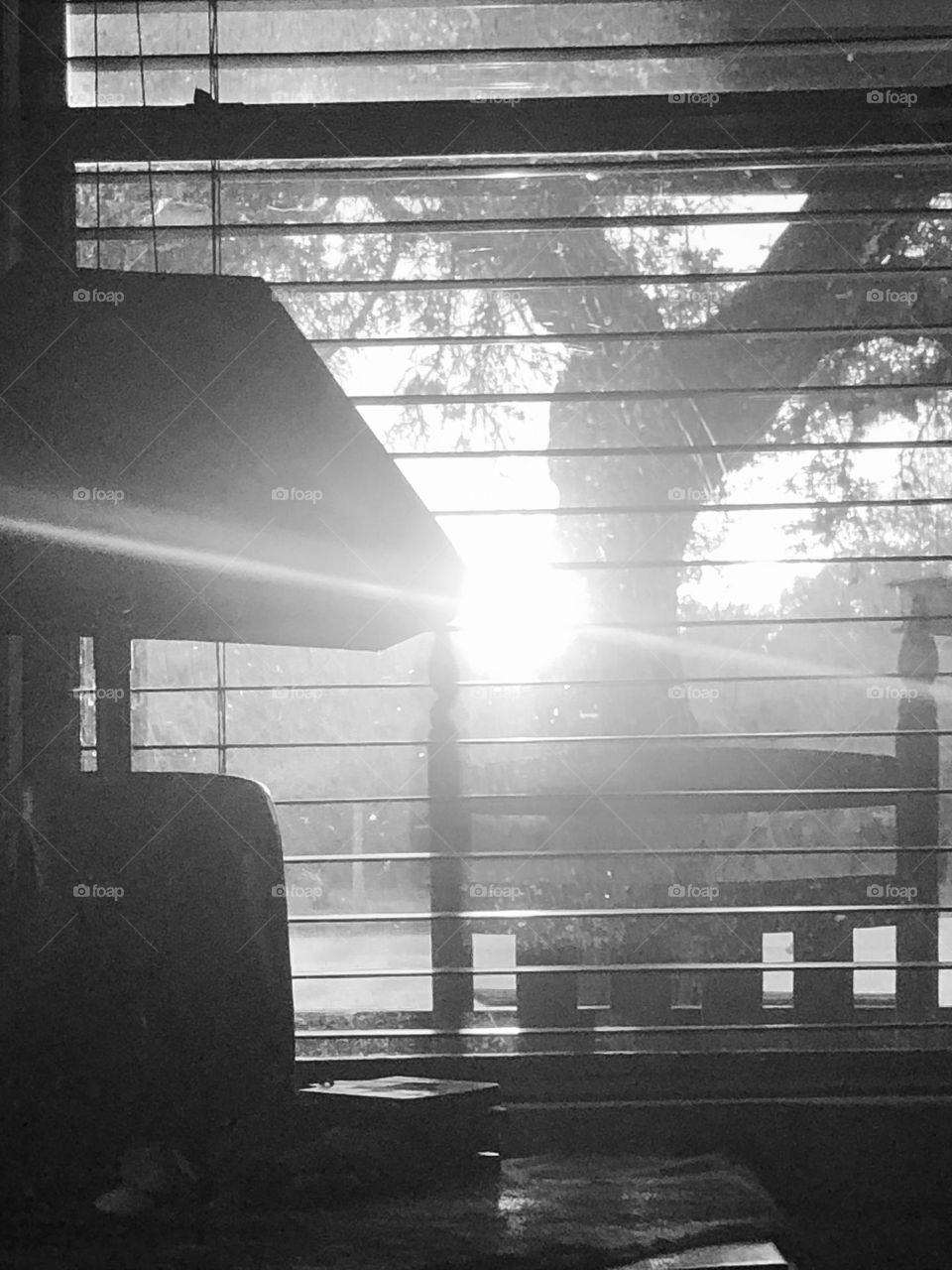 Black and white shot of the blinding sun coming through the window at the ranch in Texas!