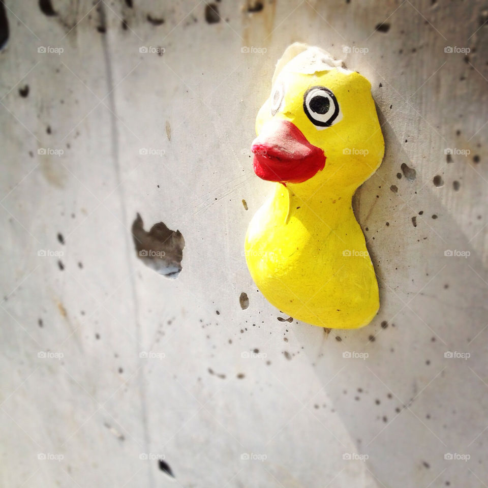 street wall art duck by msp80