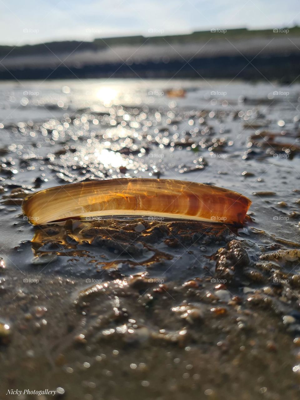 Beach walk 🌞🐚🫧