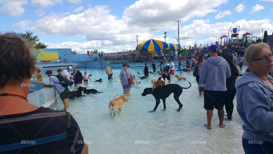 People, Group, Man, Adult, Woman