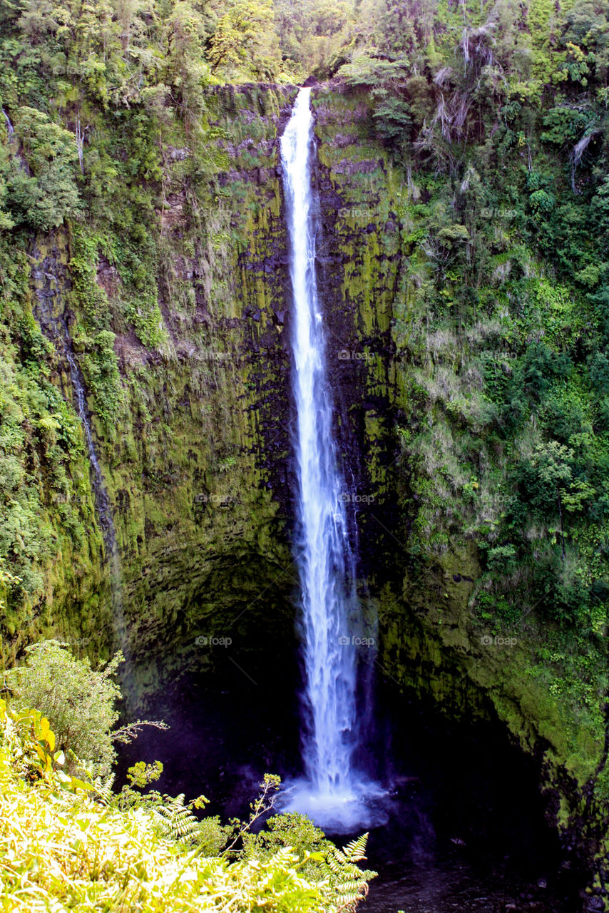 Large waterfall near Hilo, Hawaii.