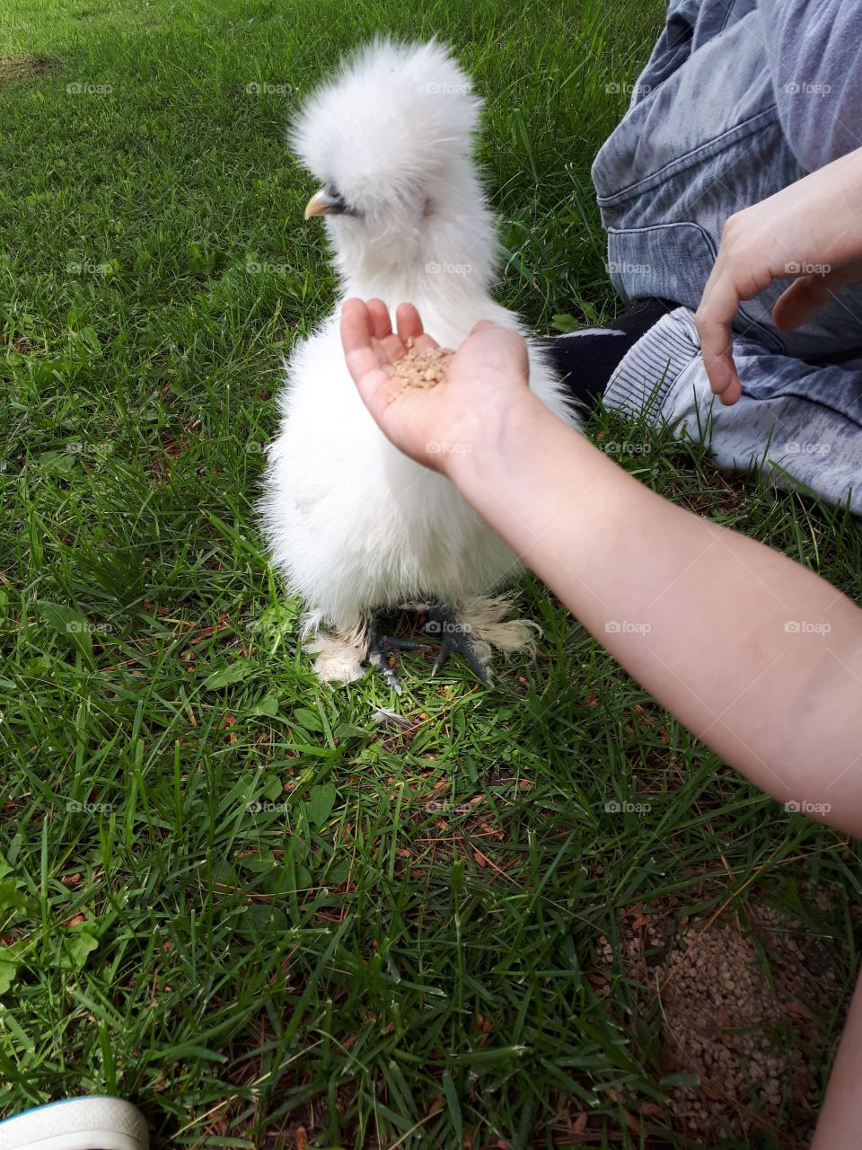 What chick got there 