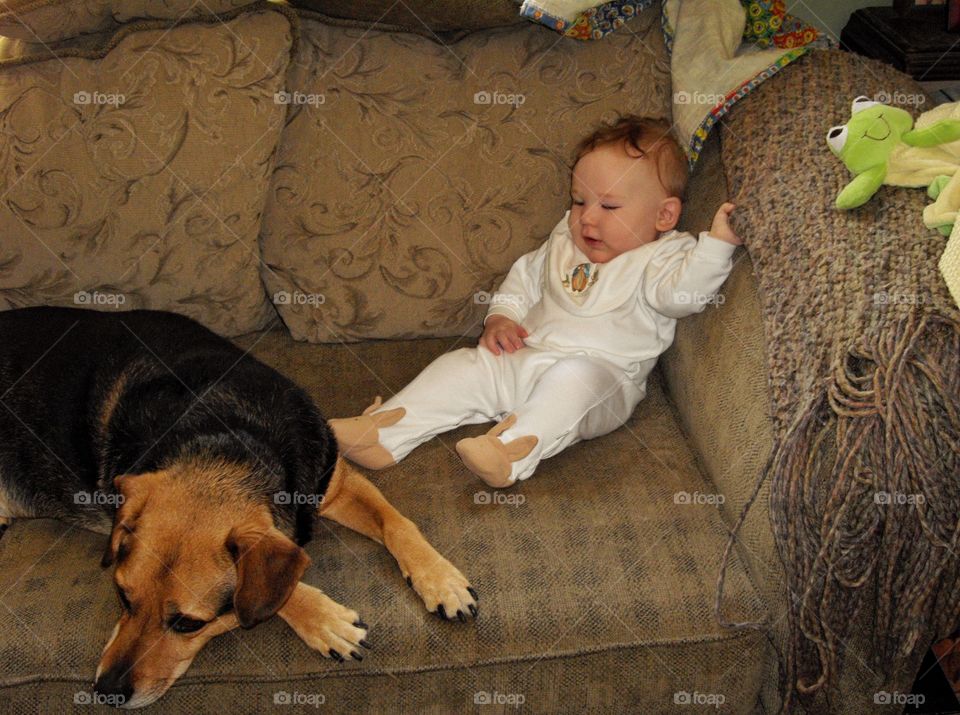 Baby With Dog
