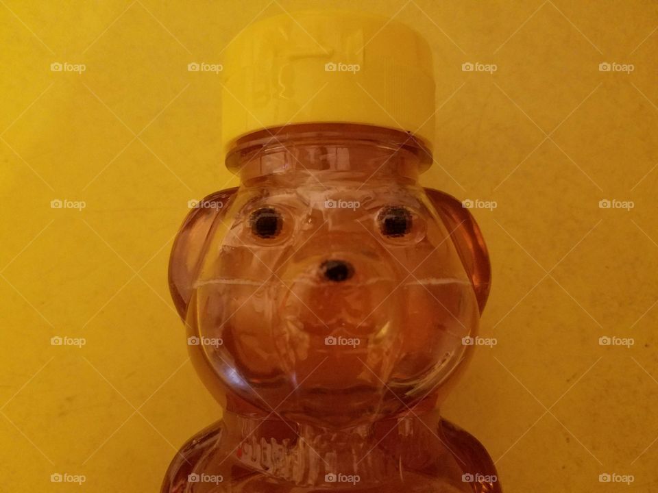 honey bear