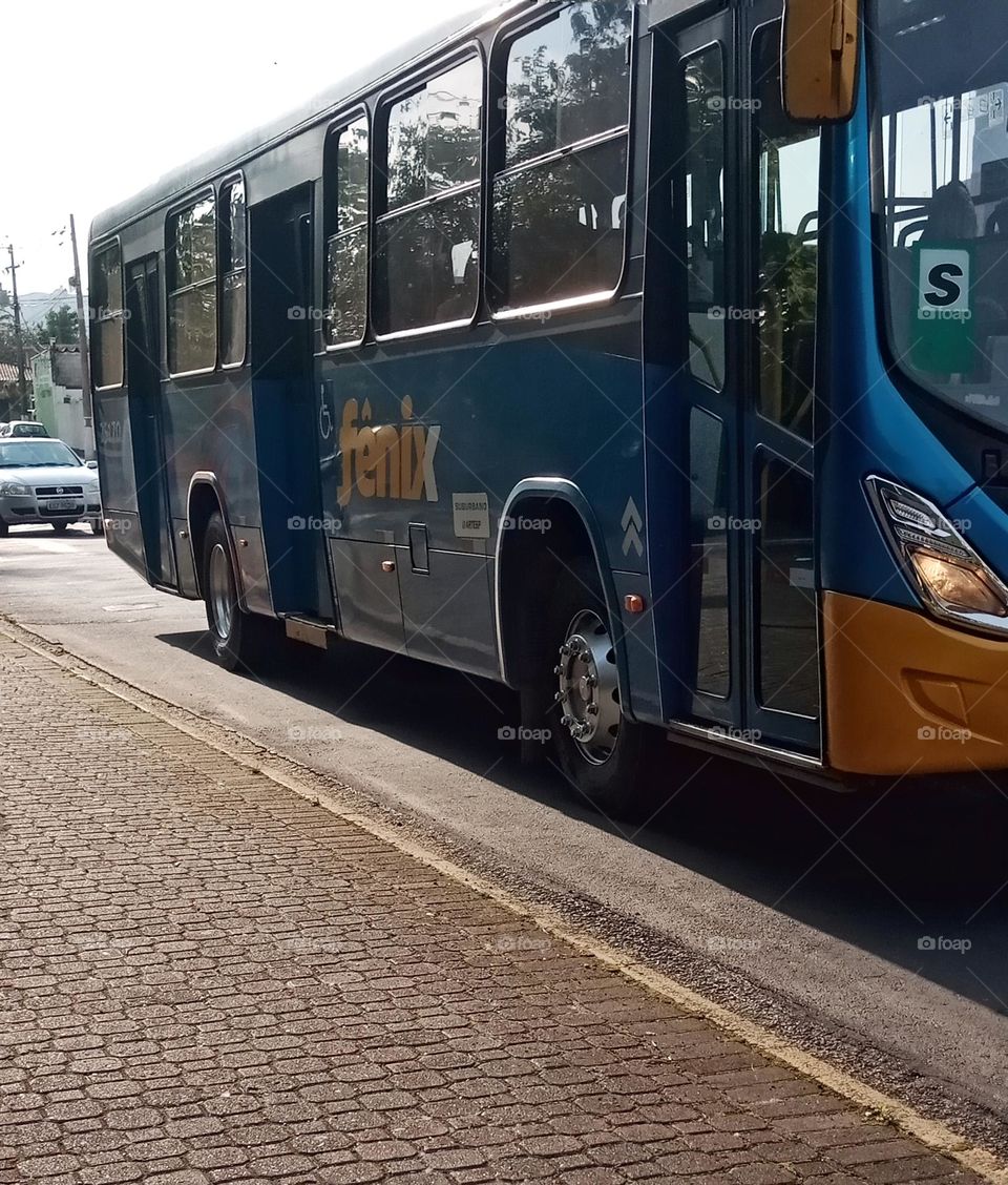 Urban bus in the morning