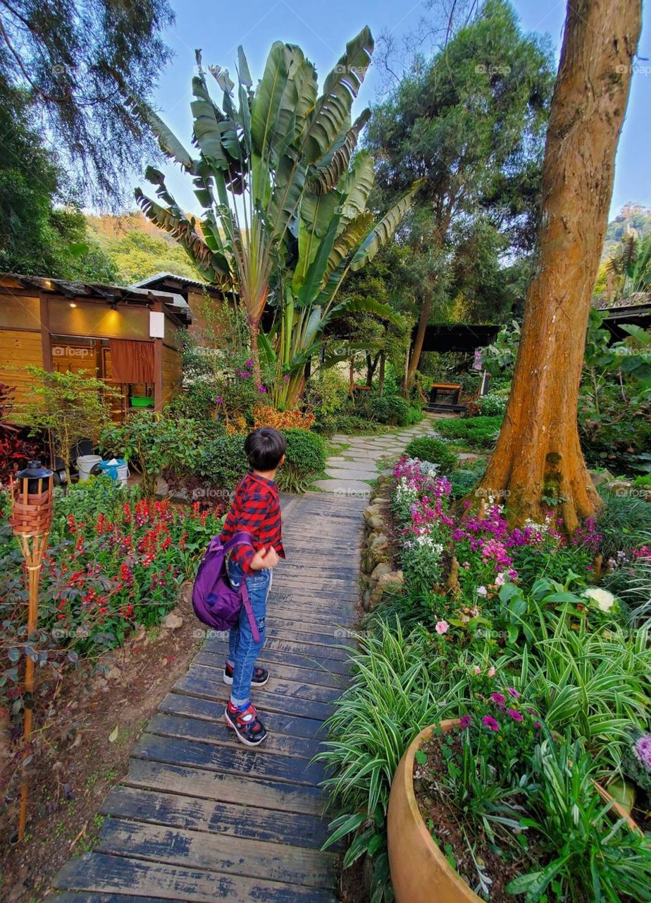 Little boy in spring forest full of flowers