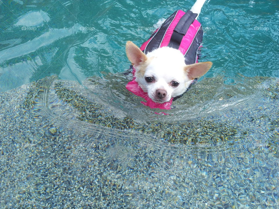 chi swimming
