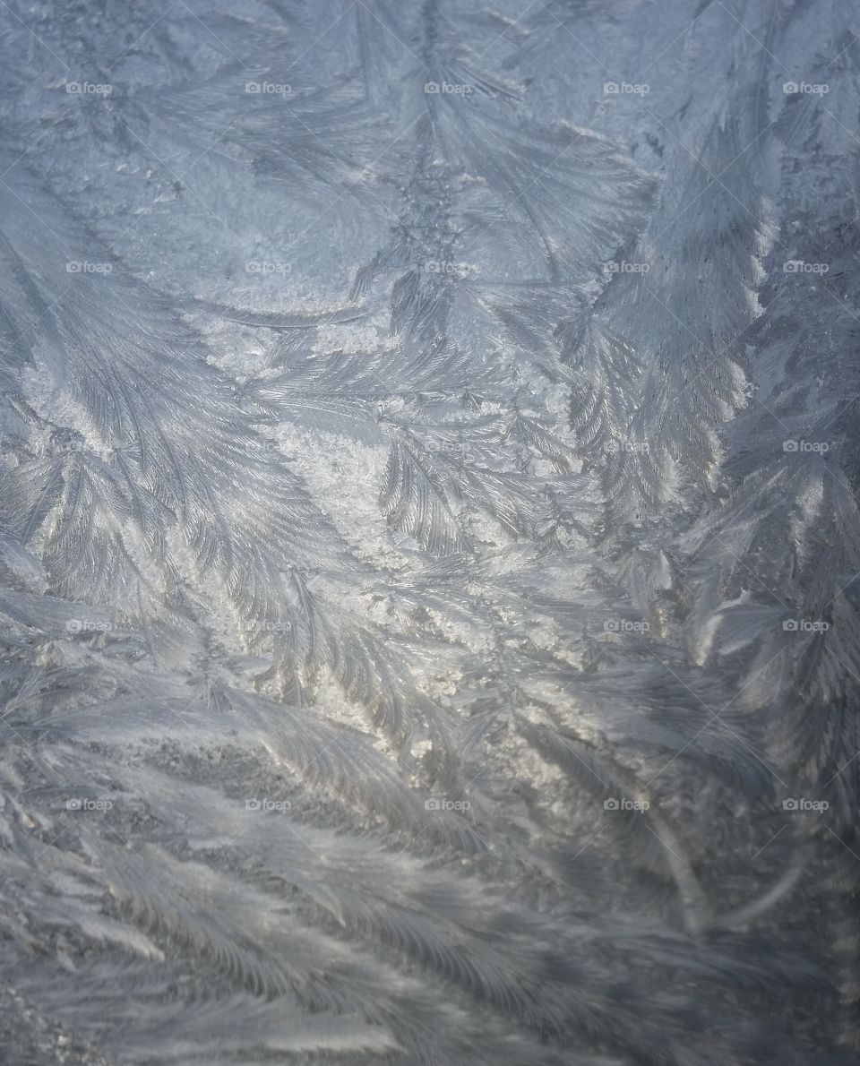 beutiful frostpatterns