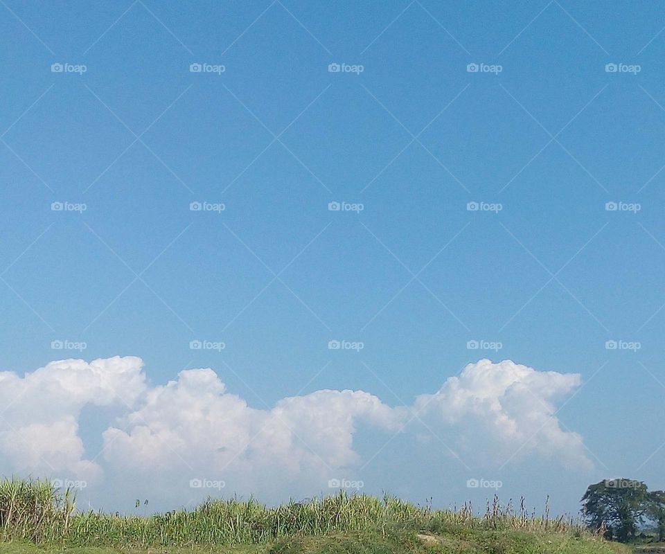 Beautiful natural wallpaper for desktop