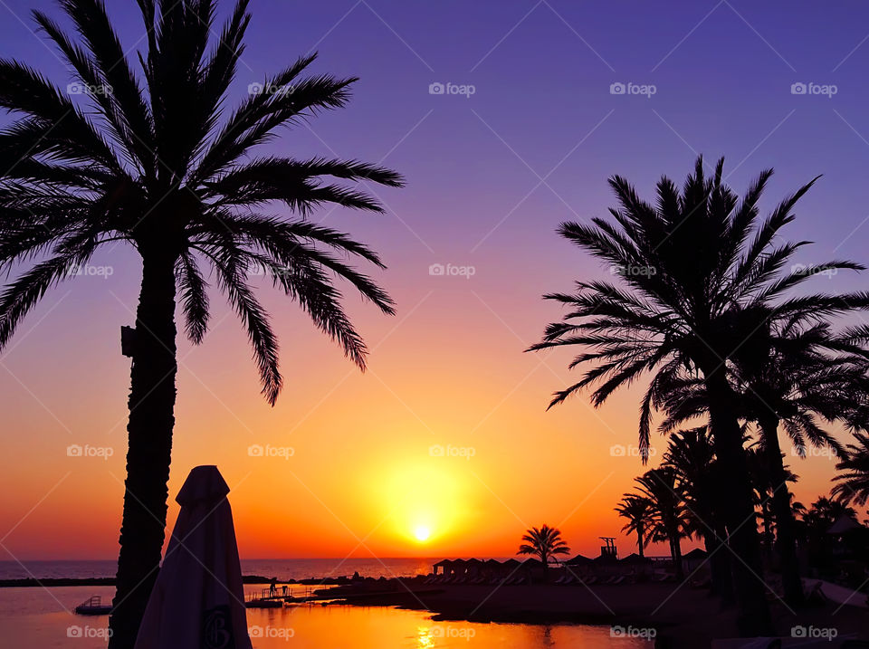 Beautiful sunset over the tropical beach with palm trees 