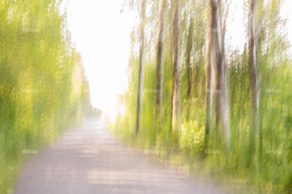 Motion photo of a path in the summer
