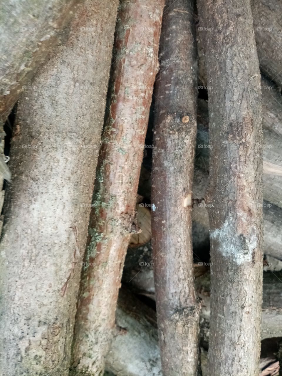 Wood
