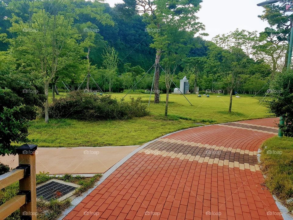 A Place In South Korea to Have some walks while enjoying the beauty of  Nature .