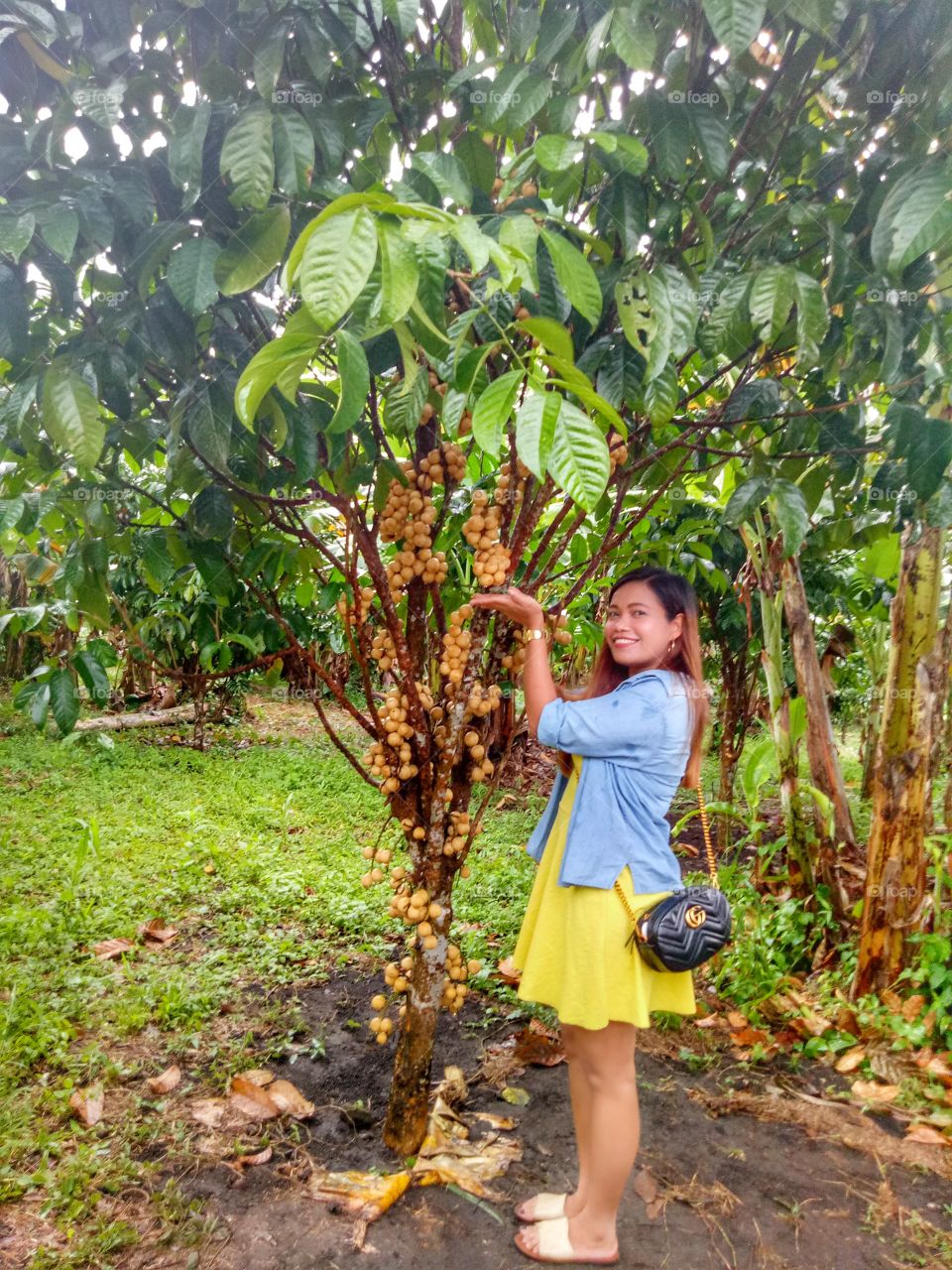 picking some fruits.