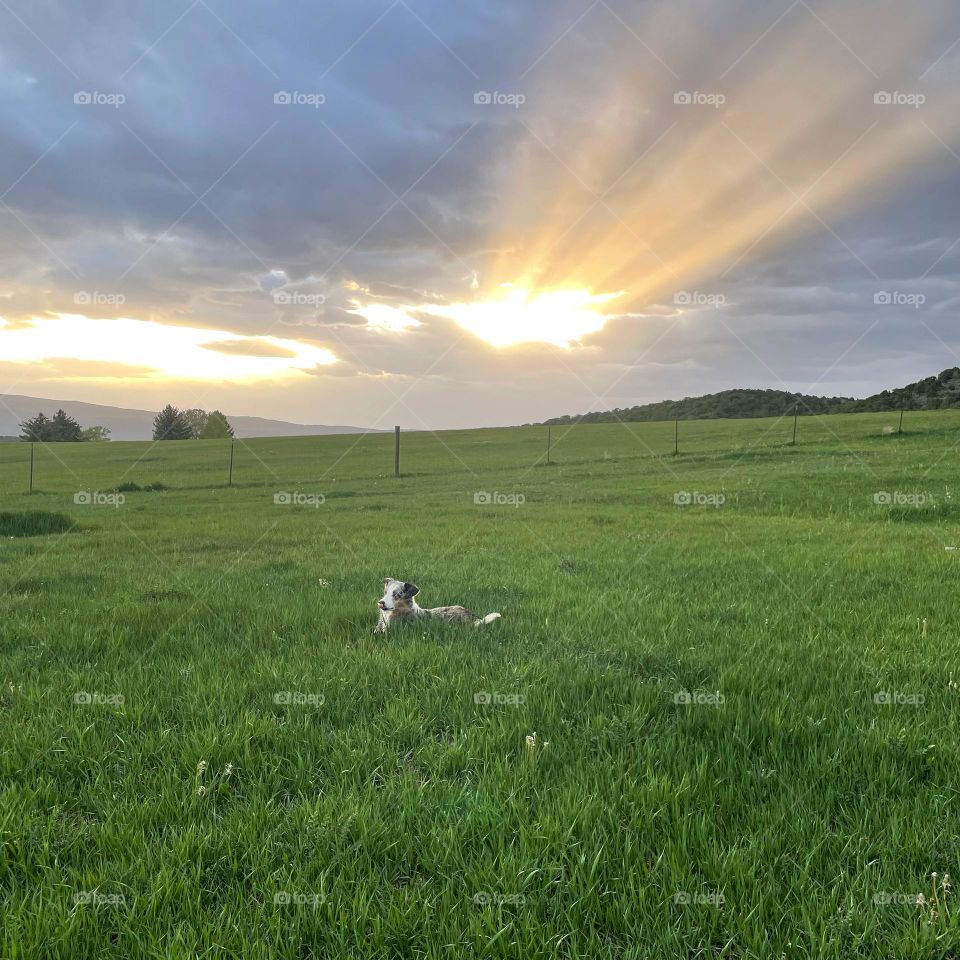 Something peaceful 💜