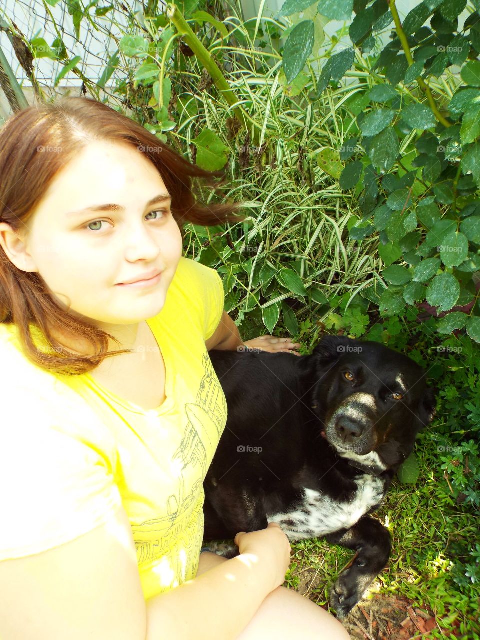 Capturing the glow from the sun