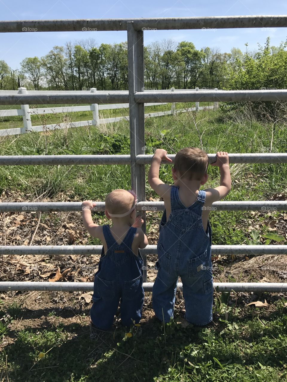 Country toddler siblings in bib overalls outside at metal fence 