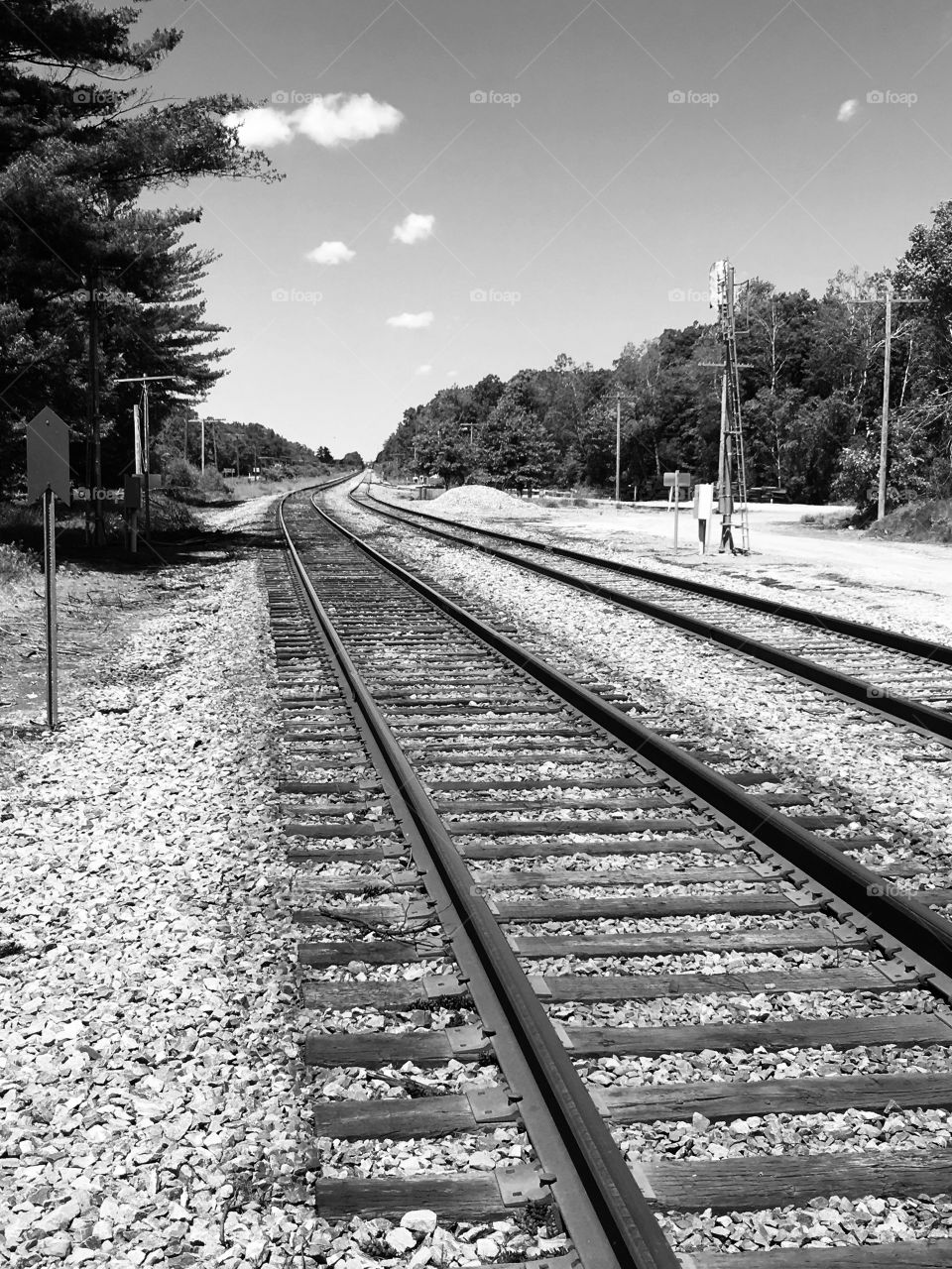 Isolated train tracks, serenity
