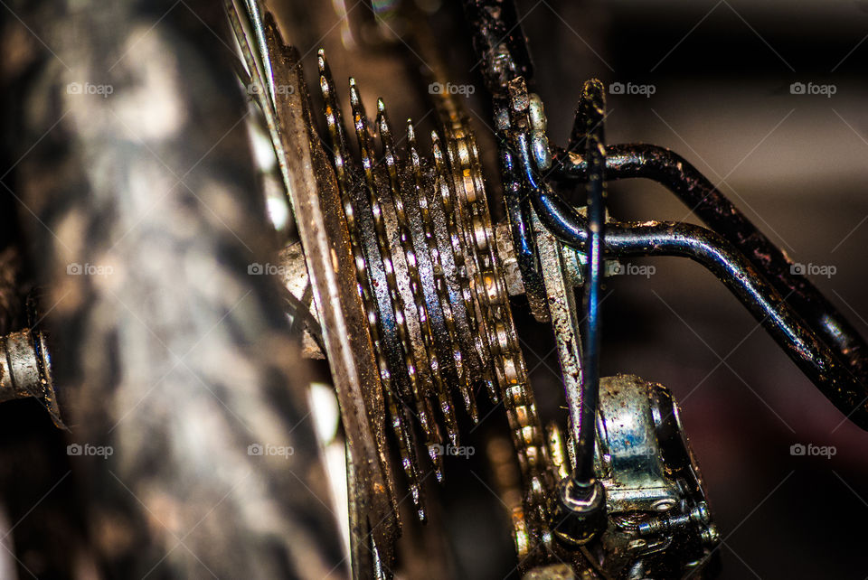 Macro Gears