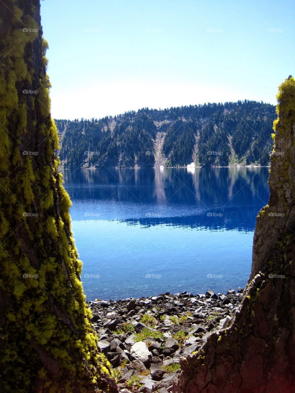 Nature framed