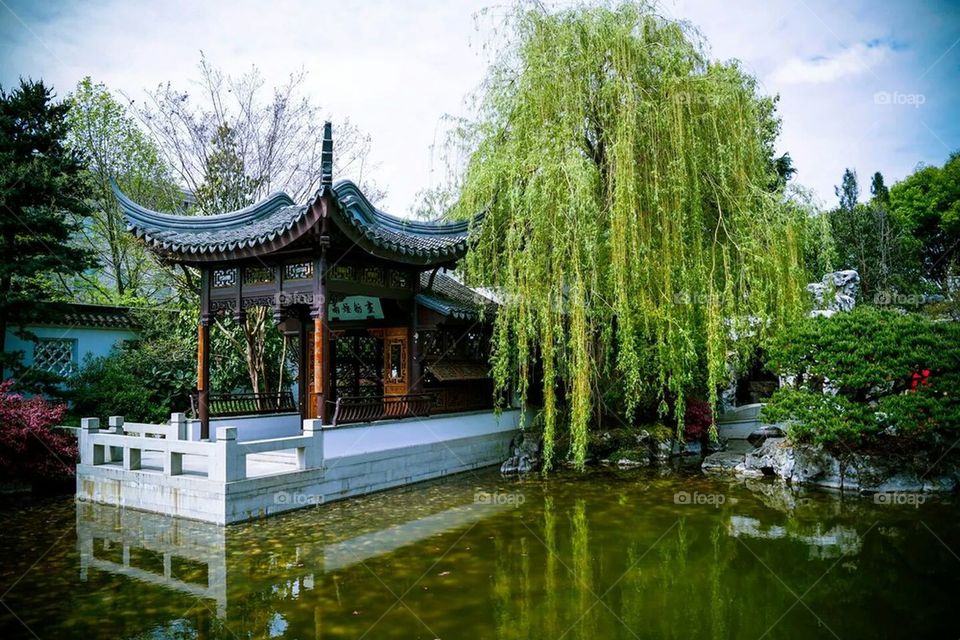 Chinese Garden 2