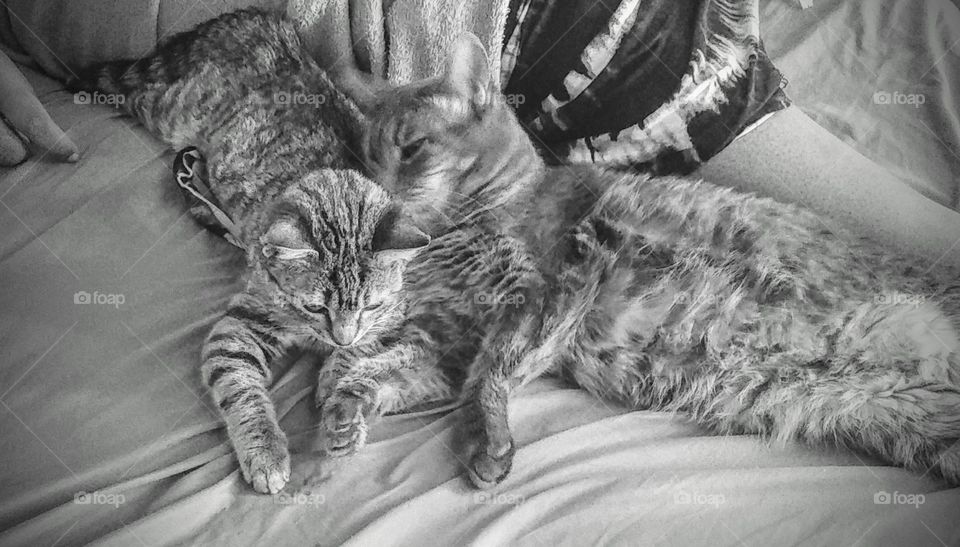 Whats love got to do with it