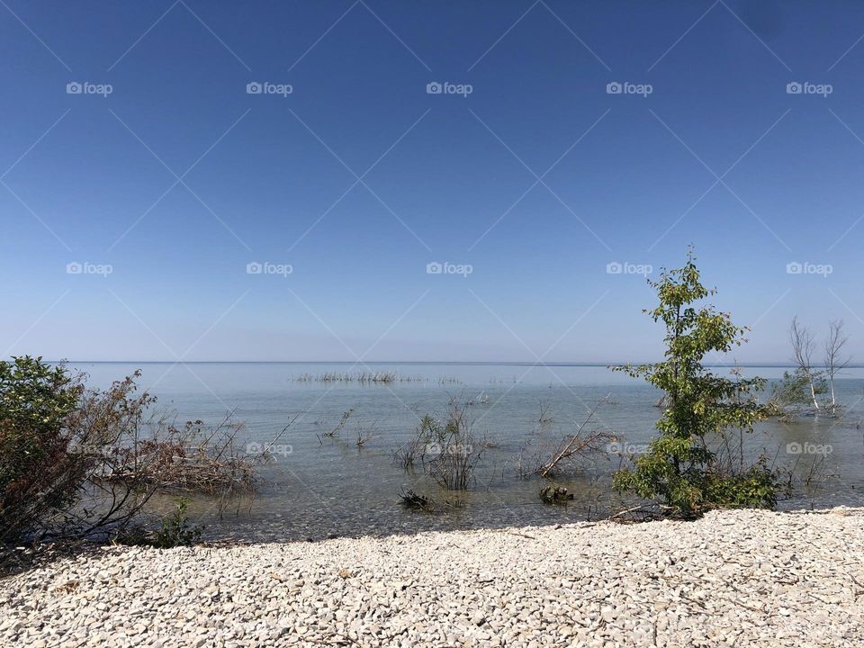Rocky Beach with Small Tree’s Summertime 
