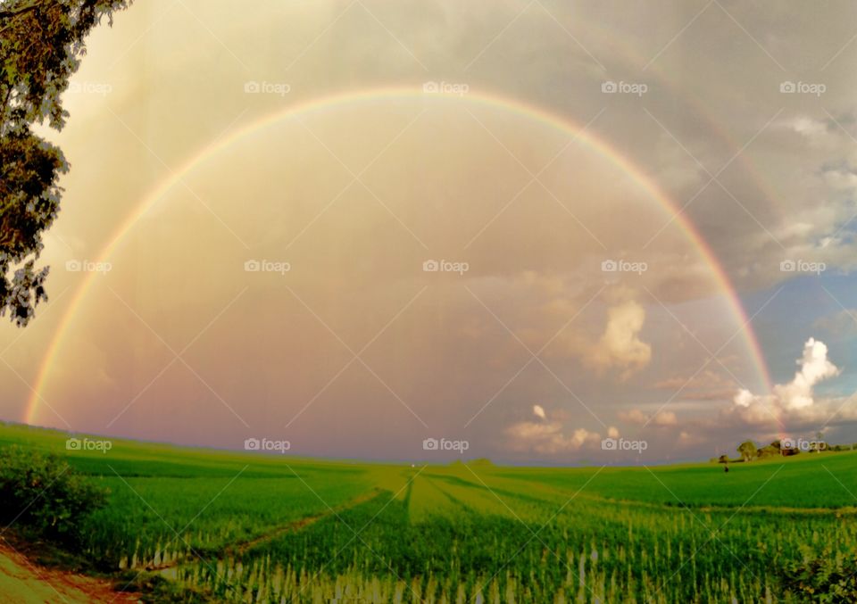 beauty of rainbow