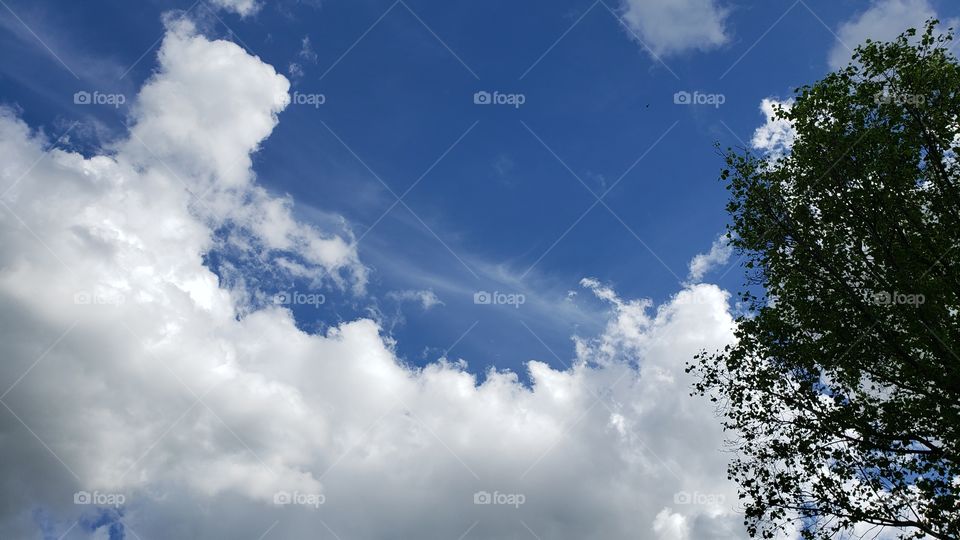 sky