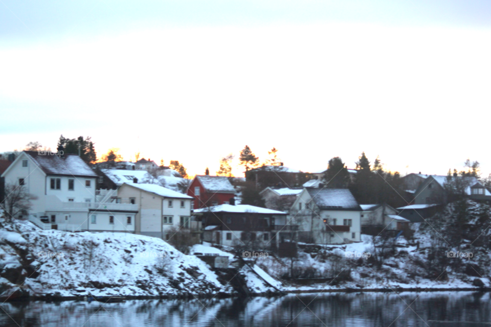 view views tree trees by Iphonepic