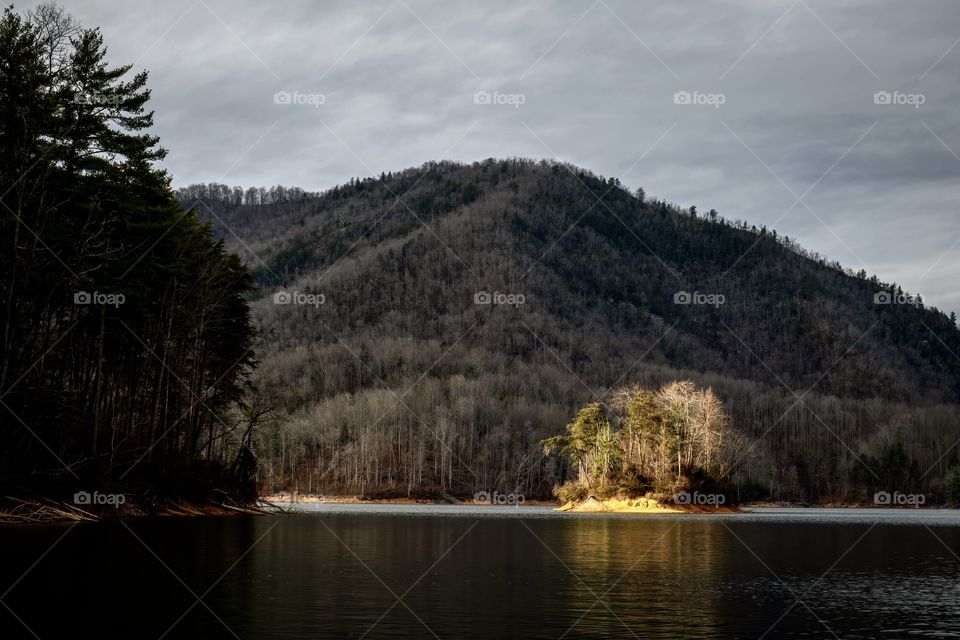 The light of the waning sun strikes an island in Watauga Lake in the mountains of Tennessee. 