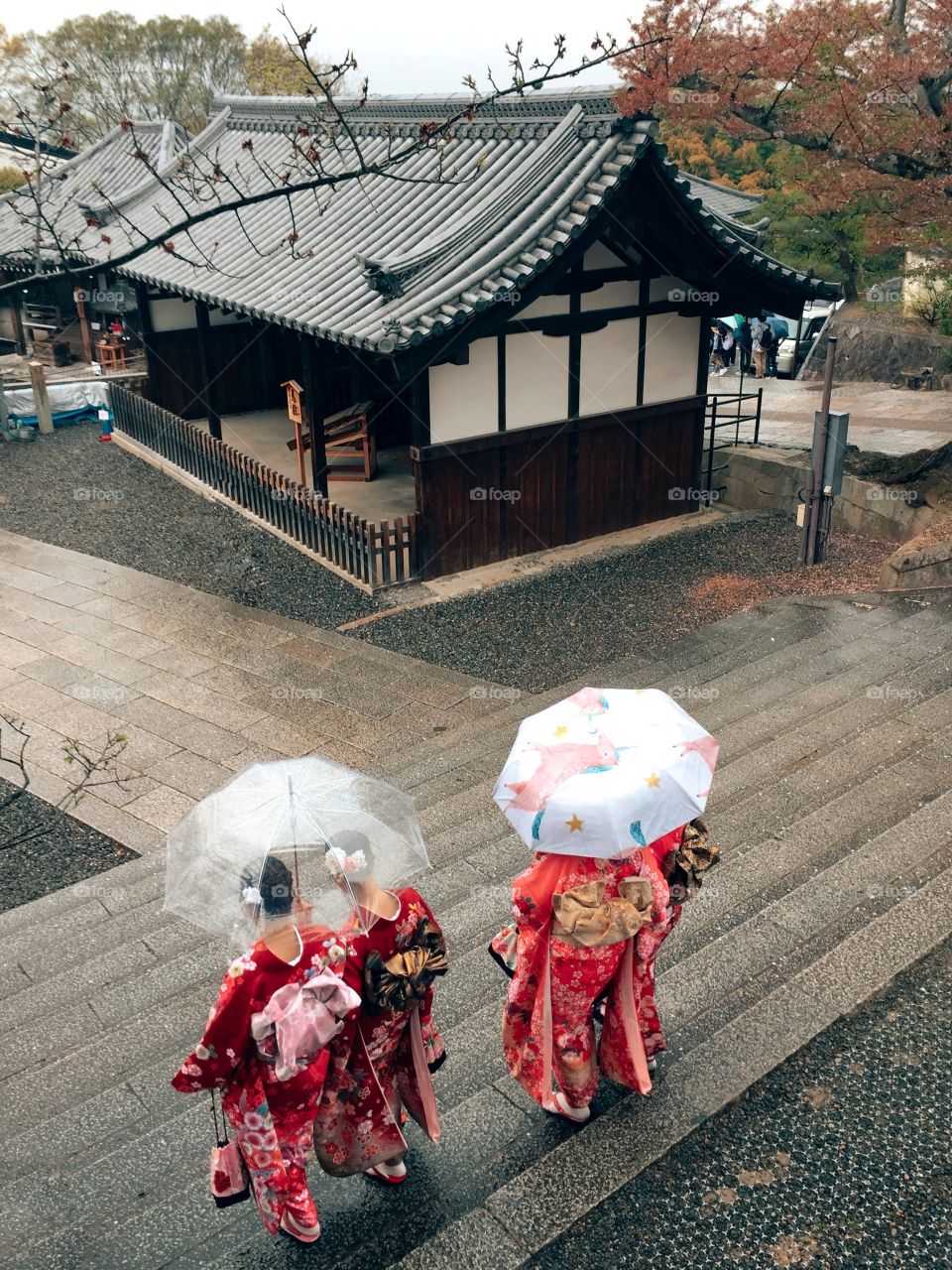 Rain in Japan