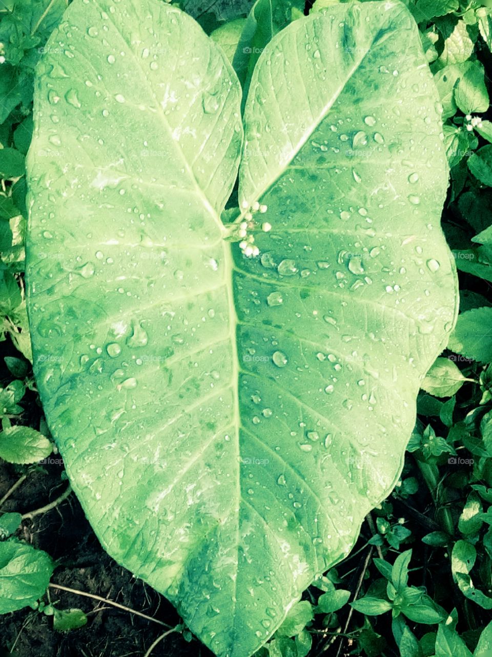 Texture of the world