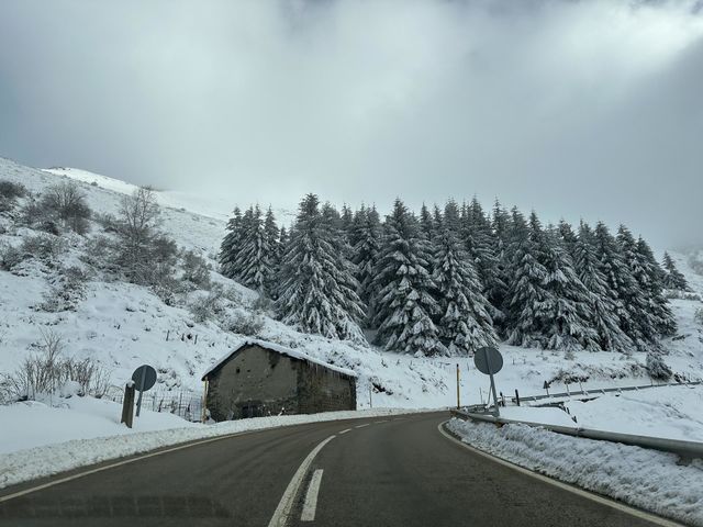 Invierno perfecto  ❄️