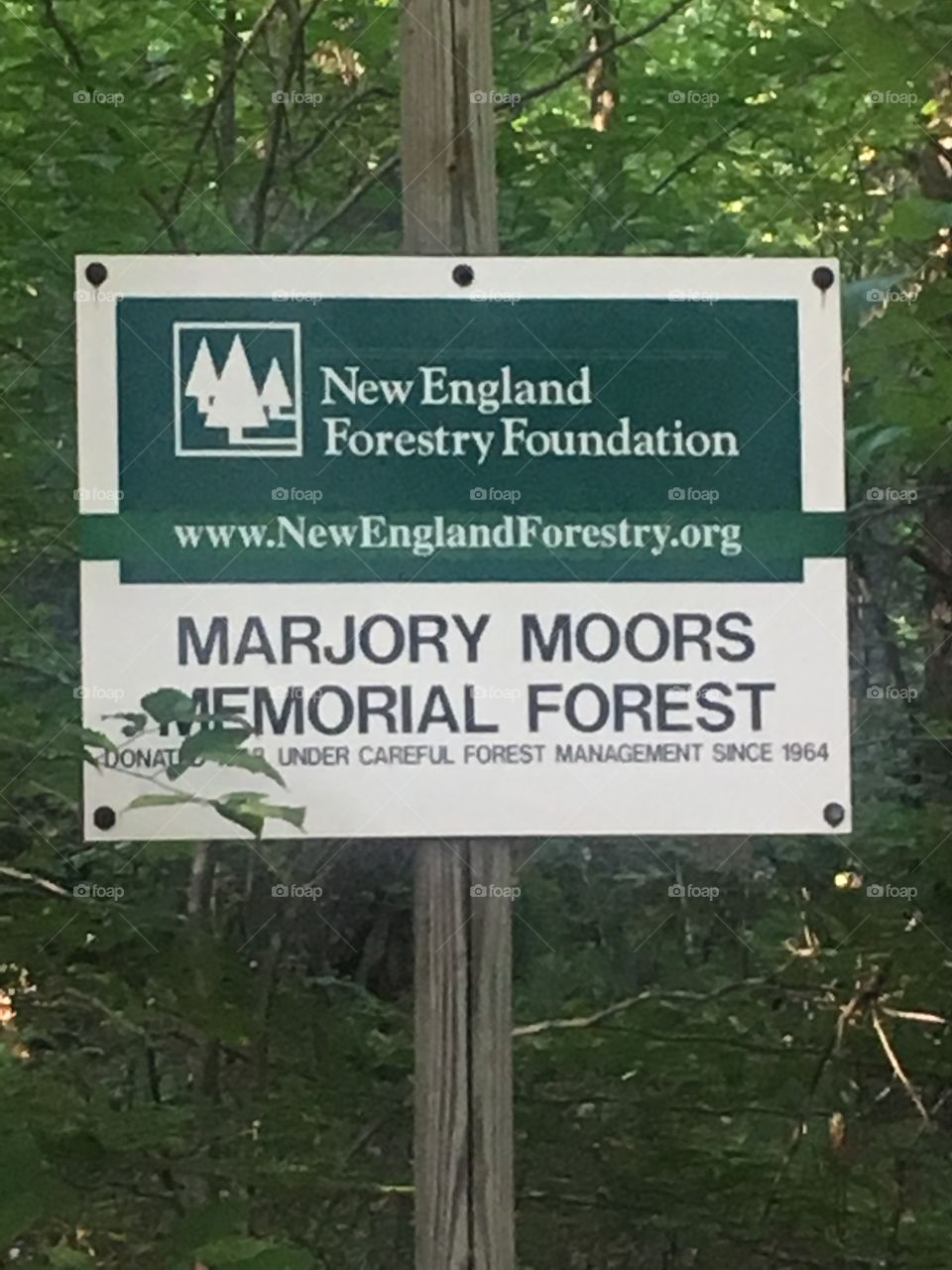 Memorial forest