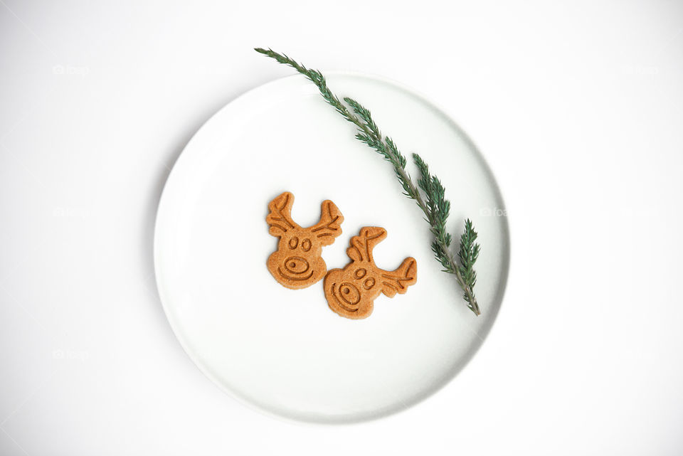 Top view of white plate with two gingerbread and Christmas branch