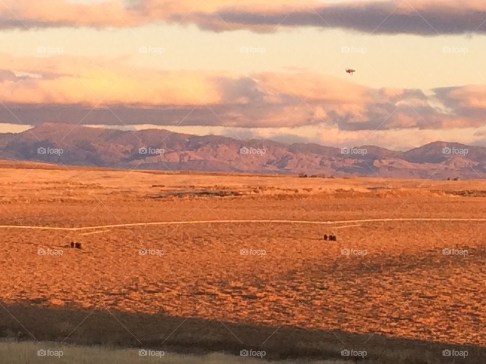 Field below a western mountain