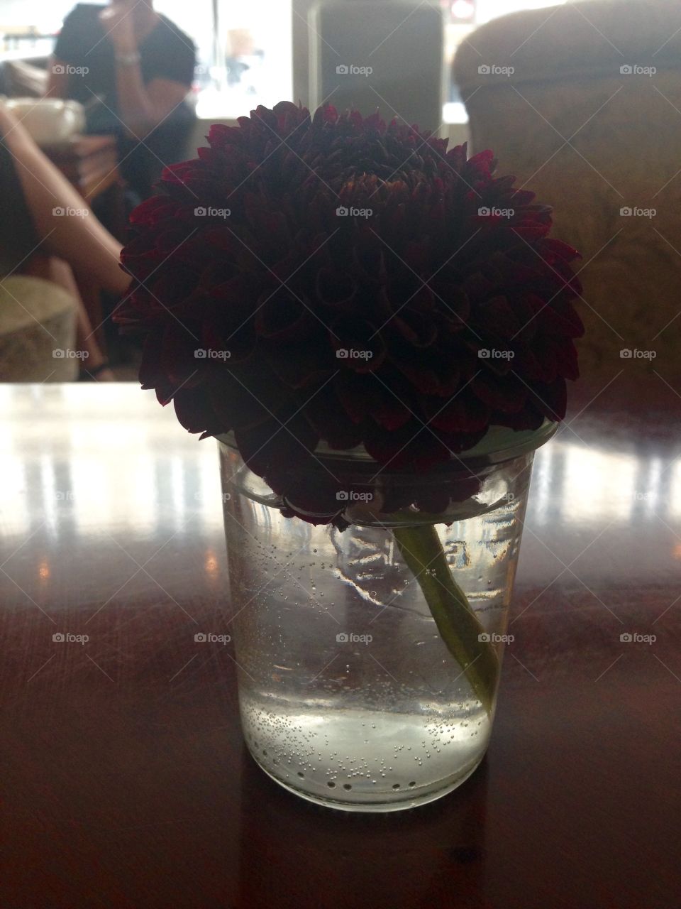 Cafe flower