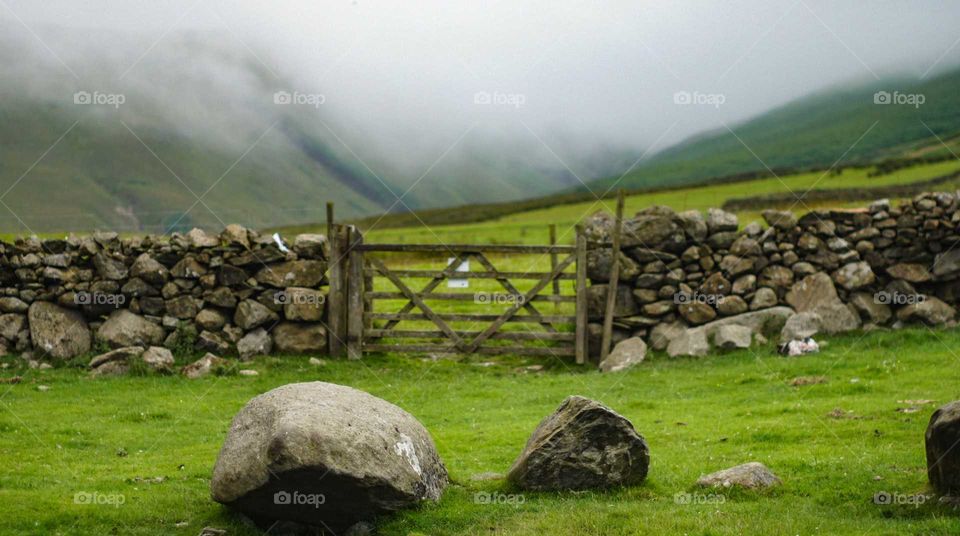 Walking through the field