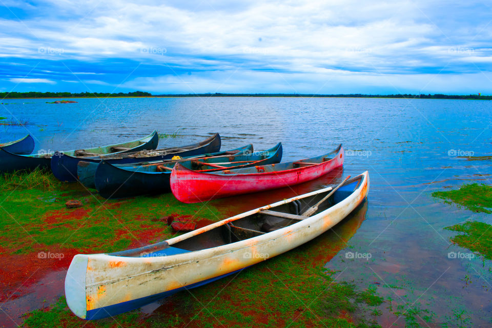 boats