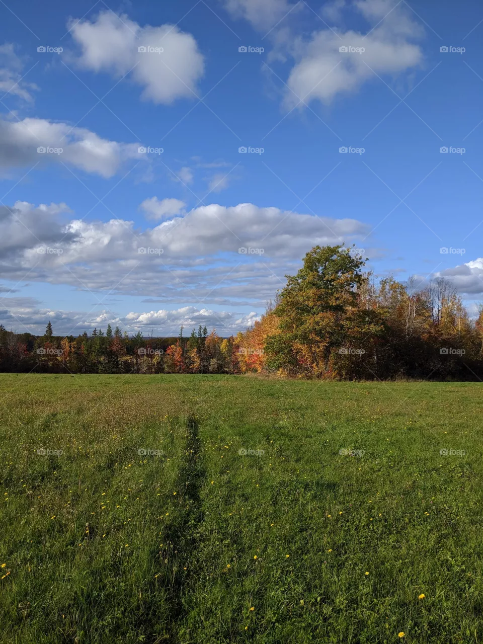 Beautiful day