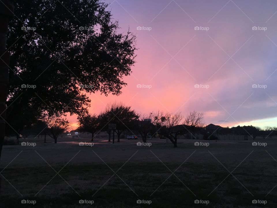 The world is bathed in a soft pink for the last few minutes of a fleeting day. Texas sunset 