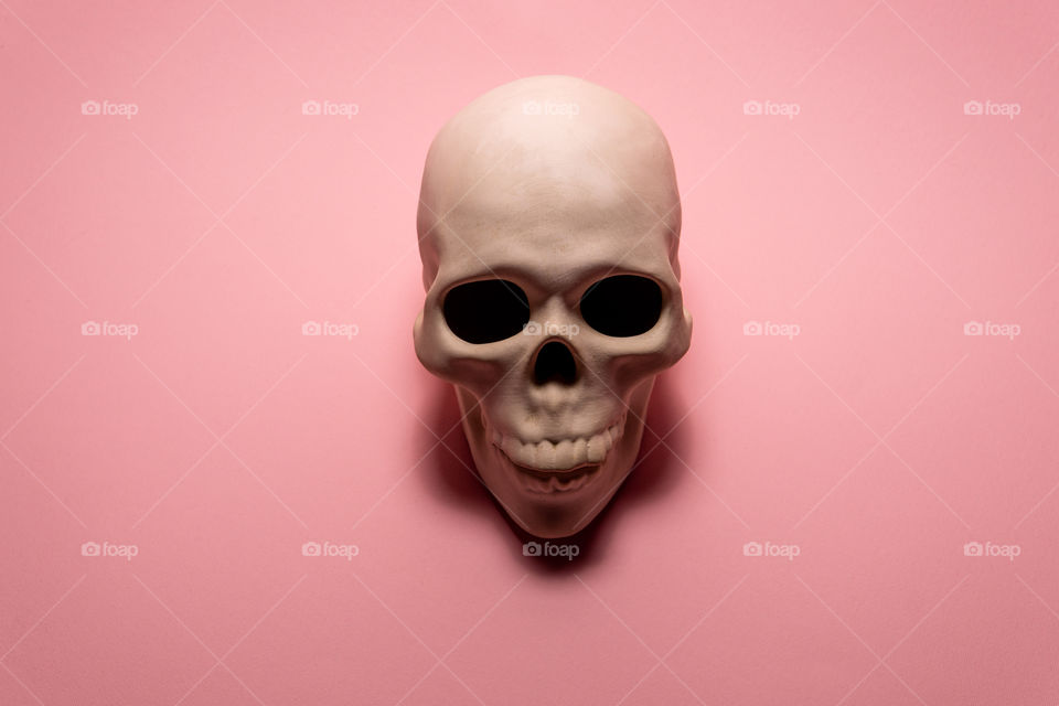 Skull on pink background. Creative medicine concept