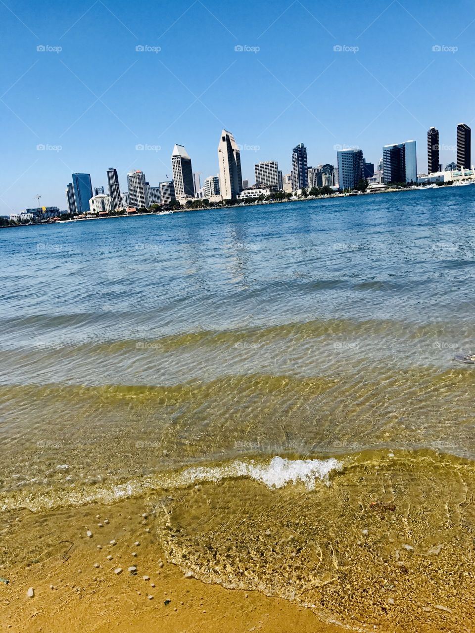 ciudad de San Diego desde la isla de Coronado San Diego  city from Coronado island