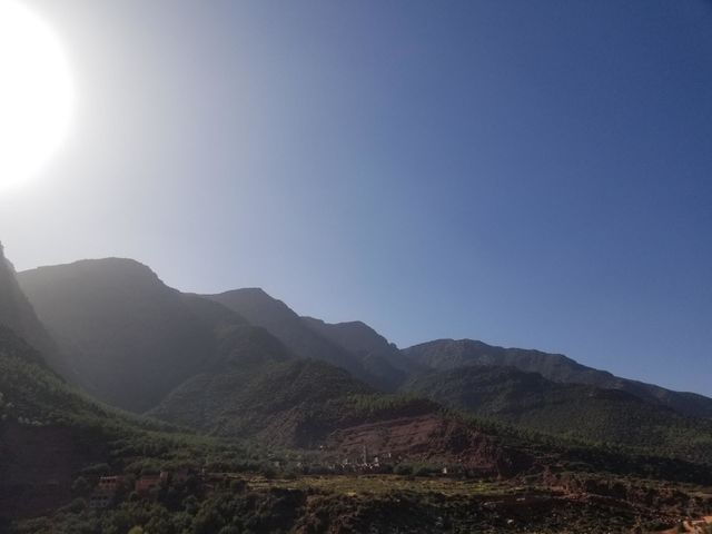 How much this photo ?