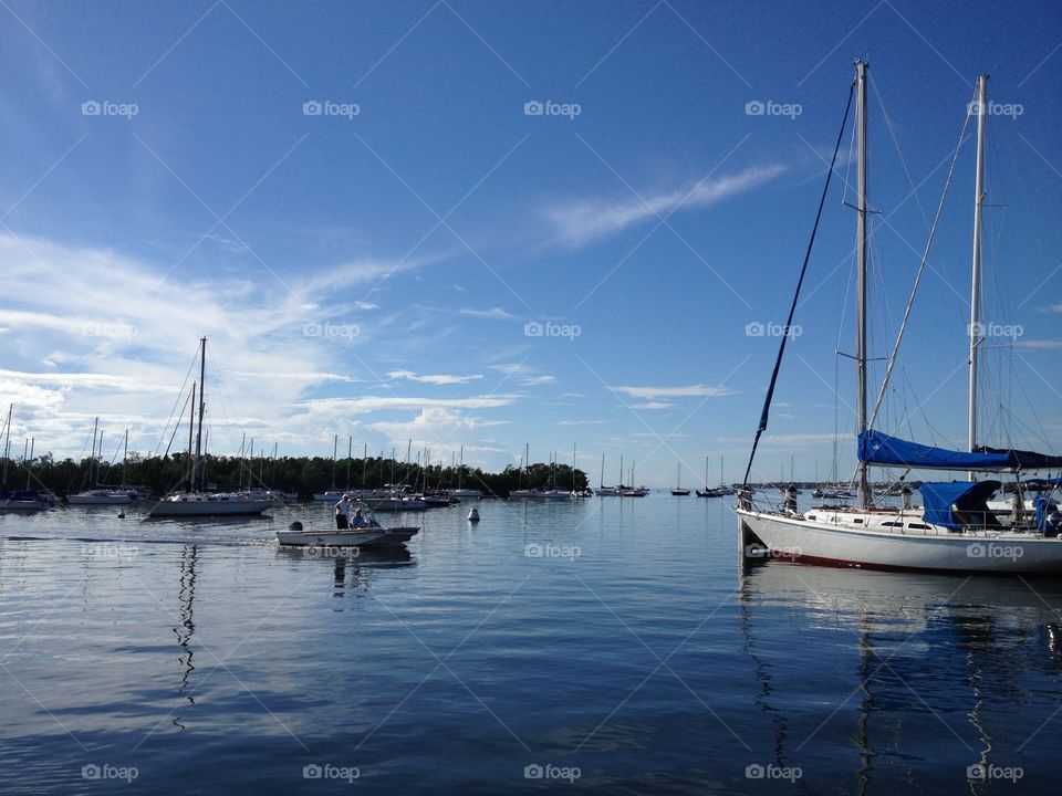 Coconut grove marina 