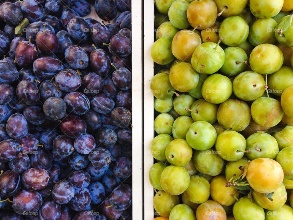 High angle view of plums