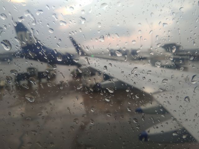 Rain drops, just zoom it and see for better view