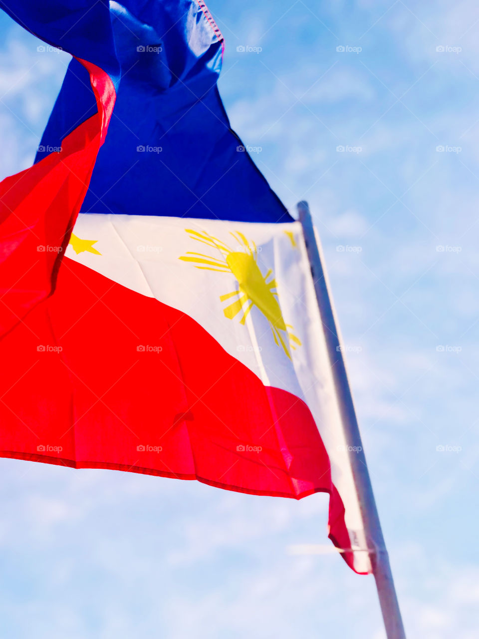 The Philippine Flag 